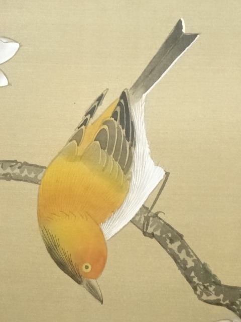 道具 ] - 道具 仲友筆 「春暖花嬌」花鳥図 肉筆絹本掛軸（保護箱